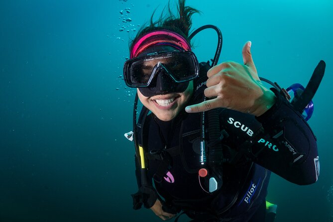 2 Dives in the Cabo Marine Park - A four-hour morning around Cabo’s marine park