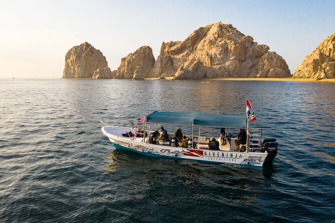 2 Dives in the Cabo Marine Park - Who should book this Cabo outing?