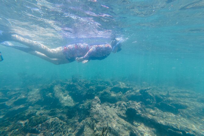 2-Hour Snorkeling in Two Spots of Tulum's Reef - Second stop: coral, schools of fish, and changing conditions