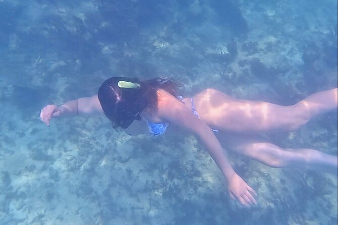 2-Hour Snorkeling in Two Spots of Tulum's Reef - Guides who make the water feel less intimidating