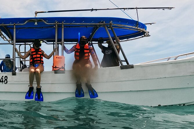 2-Hour Snorkeling in Two Spots of Tulum's Reef - What the $51.62 price really covers