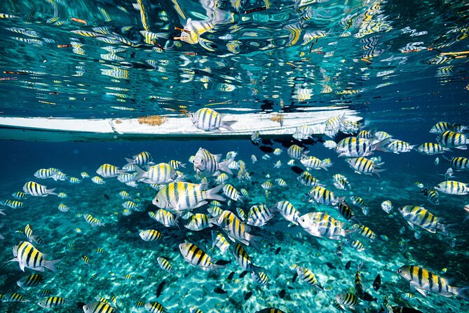2 in 1 Parasail Cancun and Jet ski - Thirty minutes on a Cancun jet ski