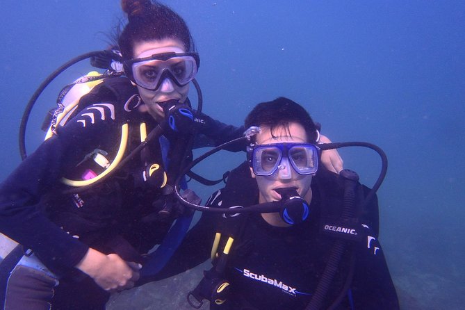 2 Tank Boat Dives for Certified Divers - A morning departure from Hotel Alba Suites