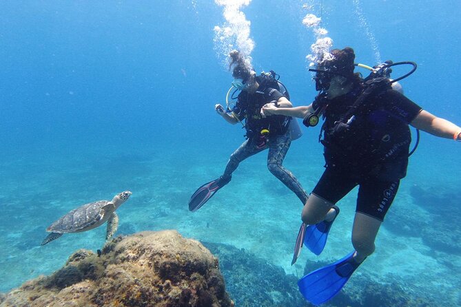 2 Tank Cozumel Reef Boat Dives - What this Cozumel reef outing is really like