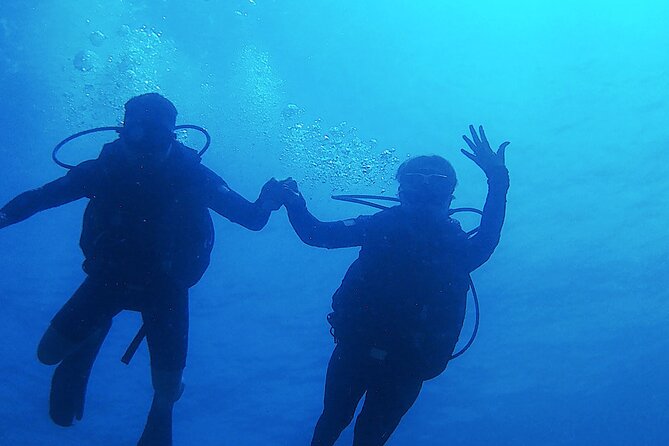 2 Tank Dive (for certified divers) - A reef trip built for a Costa Maya port day