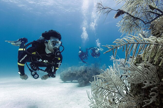 2 Tank Dive (for certified divers) - The surface interval: a useful pause, not dead time