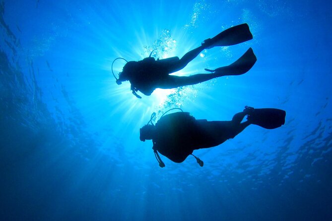 2 Tank Dive (for certified divers) - Cruise passengers need a simple transport plan
