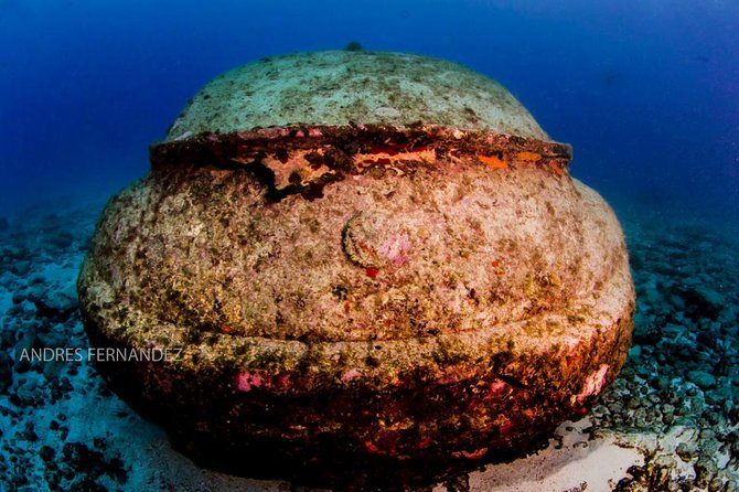 2 Tank Dives MUSA and Manchones reef (Certified divers) - Why MUSA works so well as a first stop