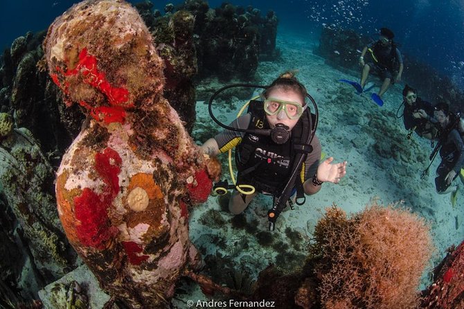 2 Tank Dives MUSA and Manchones reef (Certified divers) - What the four-hour morning looks like