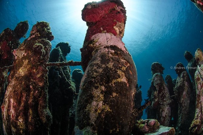 2 Tank Dives MUSA and Manchones reef (Certified divers) - Gear, food, and the real cost
