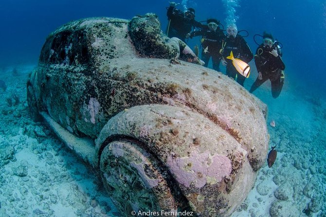 2 Tank Dives MUSA and Manchones reef (Certified divers) - Booking, cancellation, and timing advice
