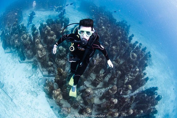2 Tank Dives MUSA and Manchones reef (Certified divers) - The second tank at Manchones reef