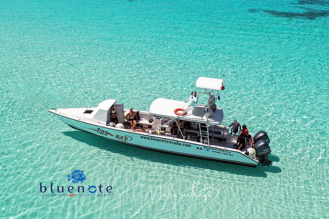 2 Tank Morning Dive: Scuba Diving in Cozumel - Key Points Before You Book