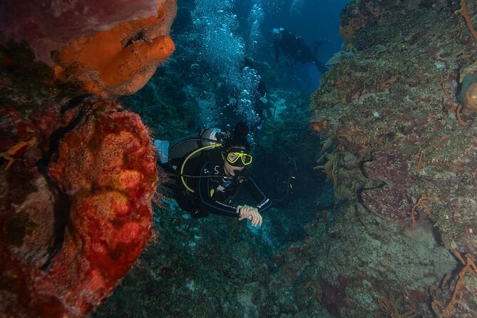 2 Tank Morning Dive: Scuba Diving in Cozumel - Surface Interval: A Real Meal Instead of a Granola Bar