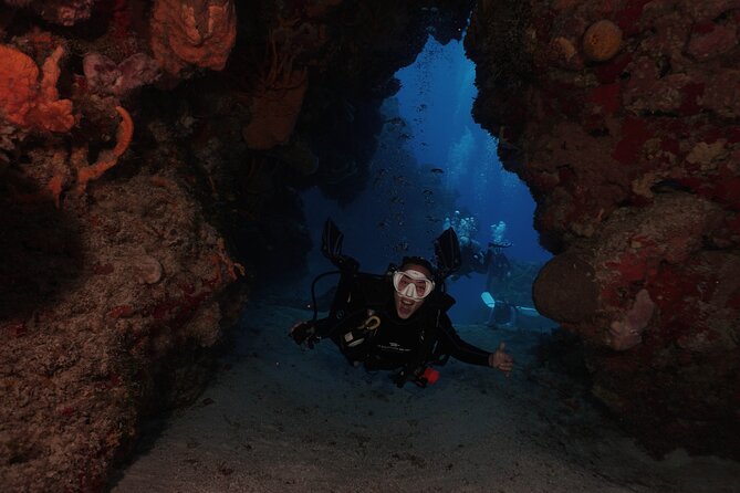 2 Tank Morning Dive: Scuba Diving in Cozumel - Second Reef Stop: More Fish, More Current, or a Shallower Profile