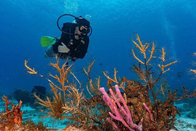 2 Tank Morning Dive: Scuba Diving in Cozumel - Equipment, Boat Comfort, and Guide Support