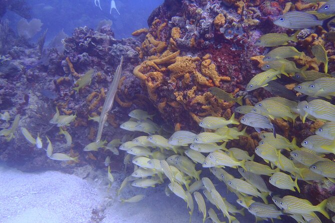 2 Tank Reef Dive in Mexico - Fitness, skin care, and practical preparation
