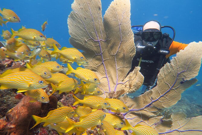 2 Tanks Dives Cancun Underwater Museum for Certified Divers - Seasickness, weather, and what to pack