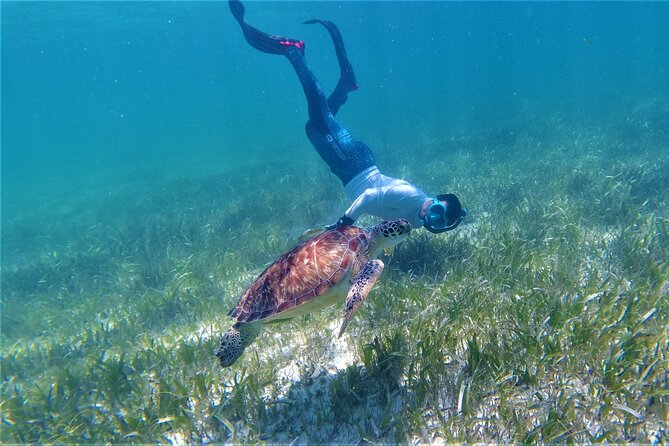 3 Hour Costa Maya Snorkeling Excursion - La Leyenda ECO-TOURS - Two Snorkel Stops Chosen for the Day