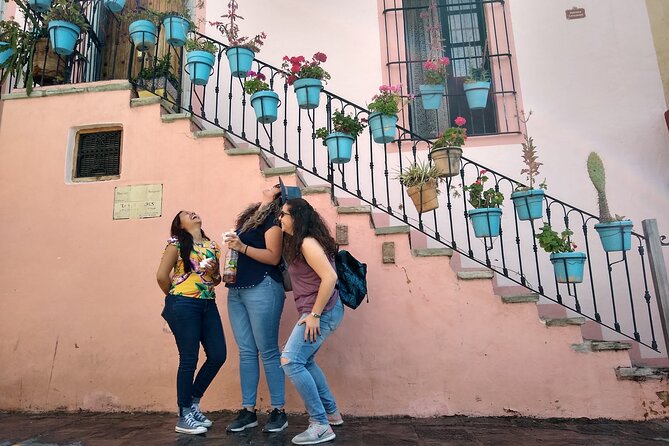 3-Hour Guided Walking Tour of Guanajuato - Museo Casa Diego Rivera and the city’s modern artistic voice