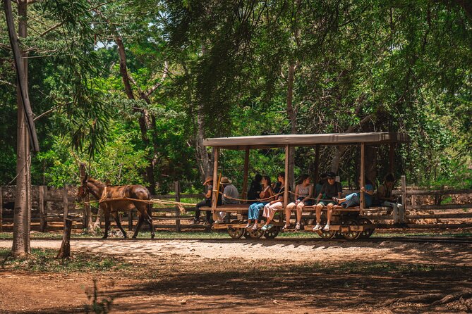 3 Hour Tour in The Sotuta de Peón Live Museum - Who will enjoy this tour most?