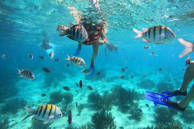 3 Hours VIP Semiprivate Tour Isla Mujeres Full Snorkeling Experience - Key points to know before you book
