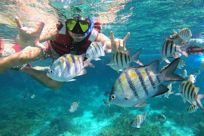 3 Hours VIP Semiprivate Tour Isla Mujeres Full Snorkeling Experience - Sac Bajo Reef and the coral farm