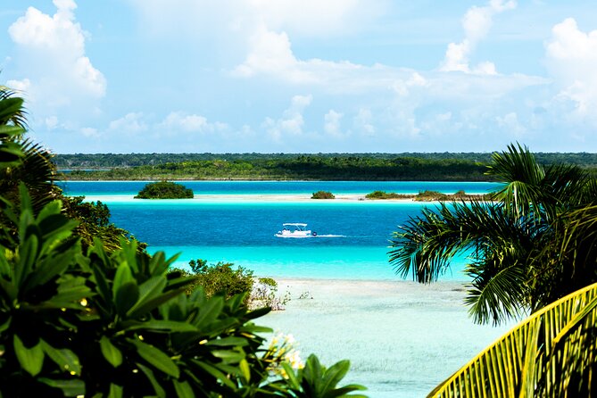 3 hr Pontoon Tour with access to Beach Club and Free Kayaks - Swimming in warm, shallow water