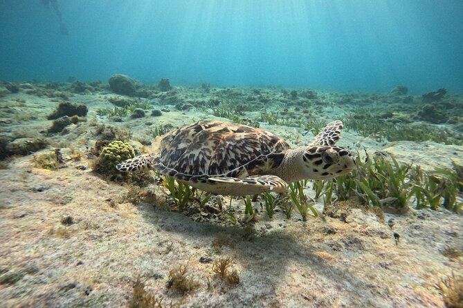 3 in 1 Jungle Tour Adventure Cancun - Why this Cancun tour is different