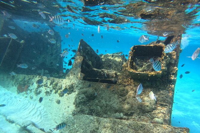 3 in 1 Jungle Tour Adventure Cancun - MUSA, where sculpture meets the sea