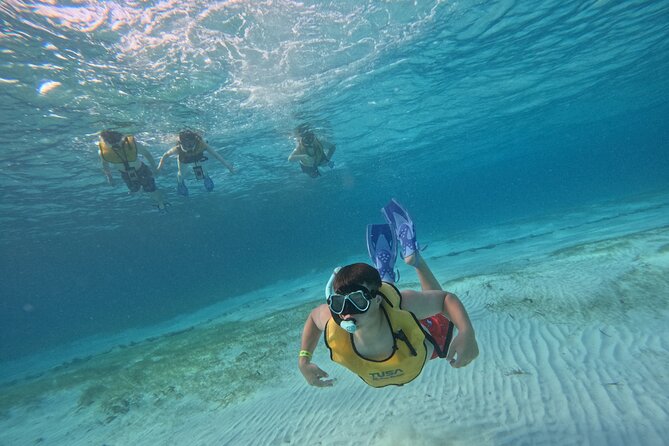 3 in 1 Jungle Tour Adventure Cancun - Seeing the sunken shipwreck