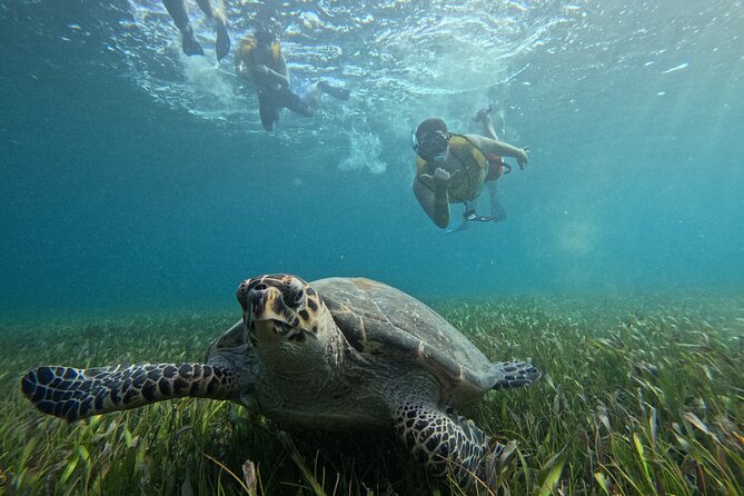 3 in 1 Jungle Tour Adventure Cancun - Starting at Marina Chac Chi