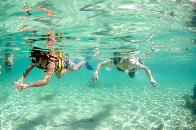 3-in-1 Puerto Morelos: Snorkeling, Tequila & Beachside Lunch - Why the guide and conditions matter