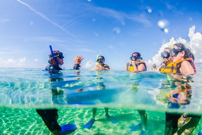 3-in-1 Puerto Morelos: Snorkeling, Tequila & Beachside Lunch - Pickup from Cancun and the Riviera Maya