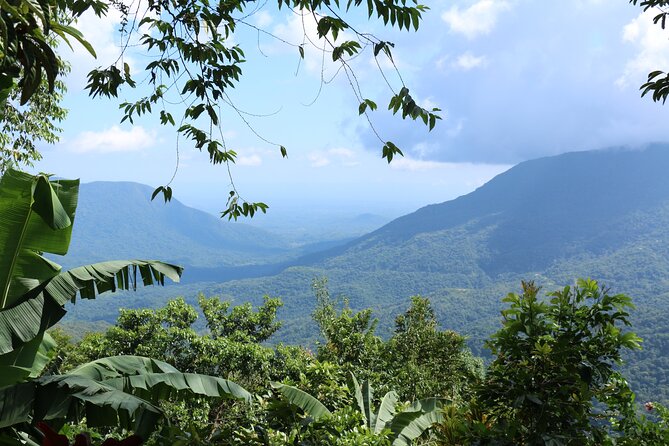 3 Levels of Huatulco the coffee you've been looking for - The Guides Make a Major Difference