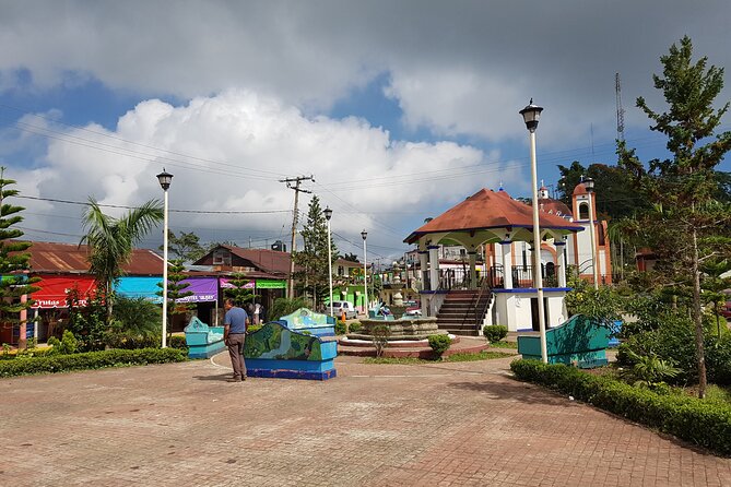 3 Levels of Huatulco the coffee you've been looking for - Lunch, Muffins, and the Cost Question