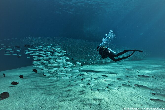 3-Tank Scuba in Marine Reserve and Corridor for Certified Divers - Why this three-tank plan works well in Cabo