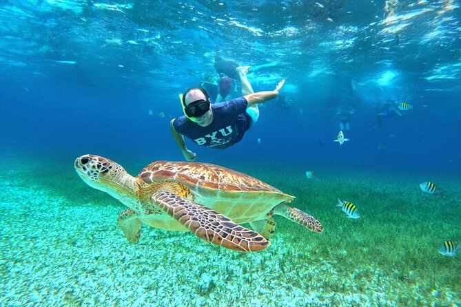 4 Hour Cozumel Turtle Sanctuary Experience on a Luxury Catamarán - What your four hours on the catamaran feel like