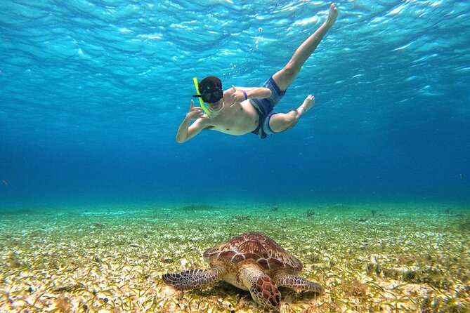 4 Hour Cozumel Turtle Sanctuary Experience on a Luxury Catamarán - El Cielo and the starfish on white sand