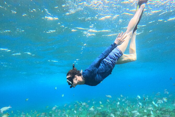4 Hour Cozumel Turtle Sanctuary Experience on a Luxury Catamarán - Cielito, snacks, and stingrays at the sandbank