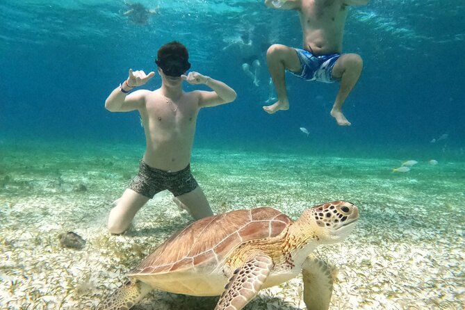 4 Hour Cozumel Turtle Sanctuary Experience on a Luxury Catamarán - The return ride and sunset promise