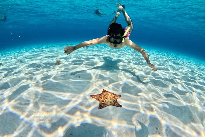 4 Hour Cozumel Turtle Sanctuary Experience on a Luxury Catamarán - Food, drinks, equipment, and the boat bathroom