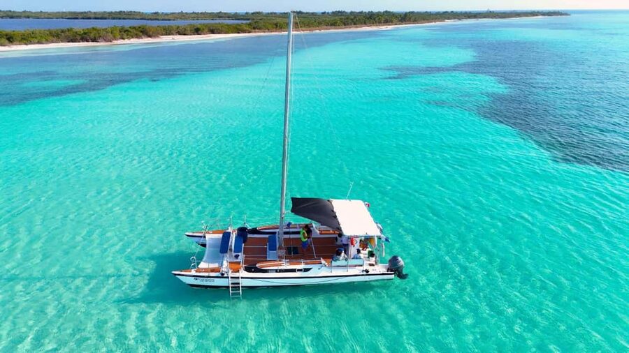 4 Hour Turtle Sanctuary Experience on a Luxury Catamarán - The Catamaran Ride and Onboard Comfort