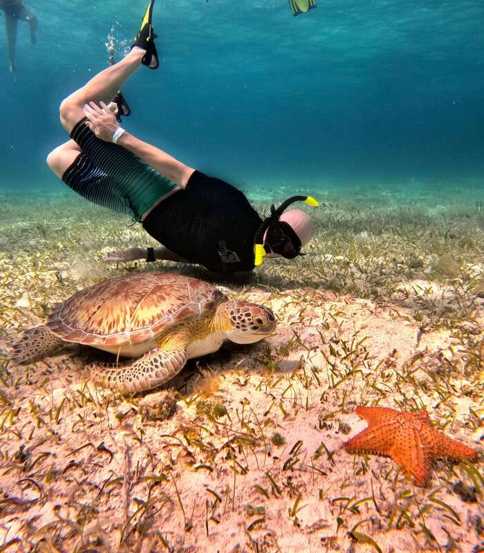 4 Hour Turtle Sanctuary Experience on a Luxury Catamarán - El Cielo and Its Starfish Shallows