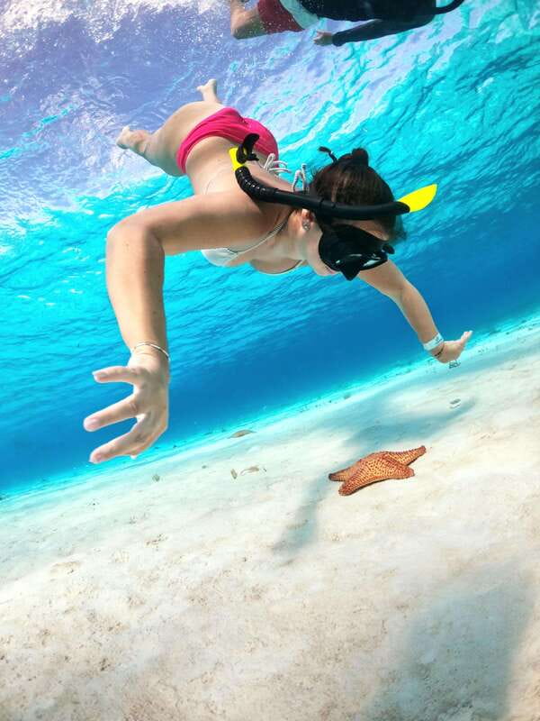 4 Hour Turtle Sanctuary Experience on a Luxury Catamarán - What to Pack for a Better Day