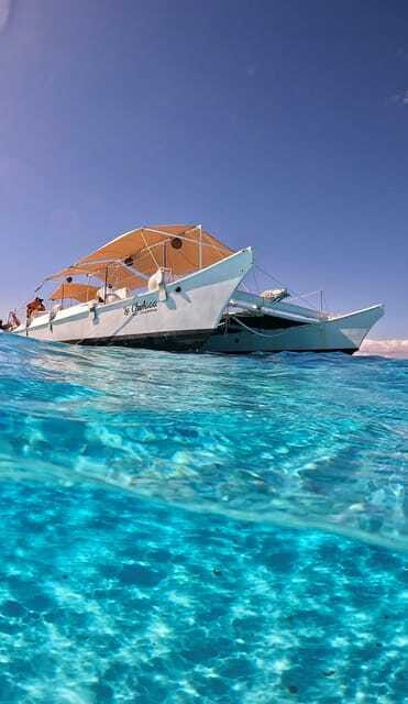 4 Hour Turtle Sanctuary Experience on a Luxury Catamarán - Who Should Book This Tour?