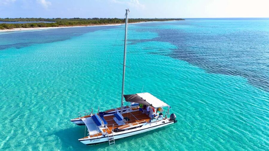 4 Hour Turtle Sanctuary Experience on a Luxury Catamarán - Meeting the Crew at Asta Bandera Monumental