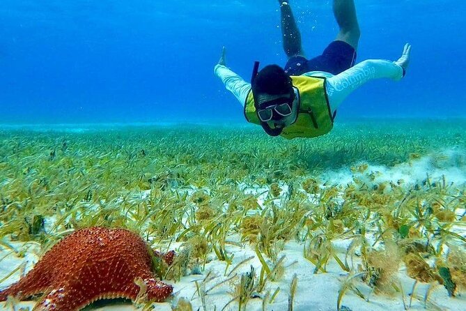 4 hours of shared snorkeling to El Cielo - El Cielito: a sandbar, snacks, and stingrays