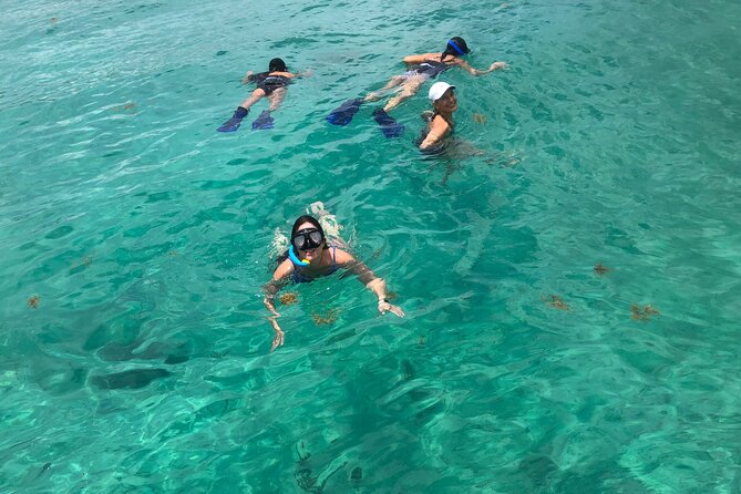 4 hours - Private 48ft Yacht all inclusive in Tulum and Playa del Carmen - Is $1,299 a good value for your group?