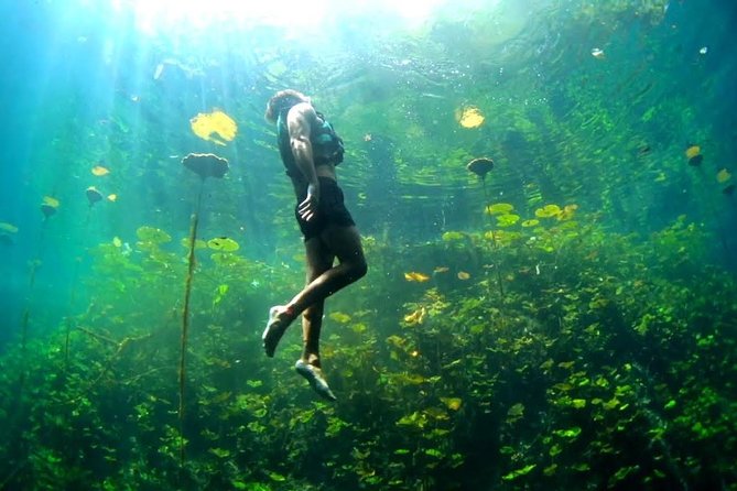 4-in-1 Cenote Tour Guided Experience with Breakfast, Lunch & Wine - What the $149.99 price really covers